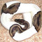 Ball-pythons-for-sal-and-some-to-start-a-breeding-programme