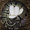 Piebald-pythons-and-eggs-for-sale
