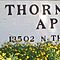 Thorntree-apartments
