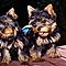 Beautifull-teacup-yorkie-puppies-for-free-adoption